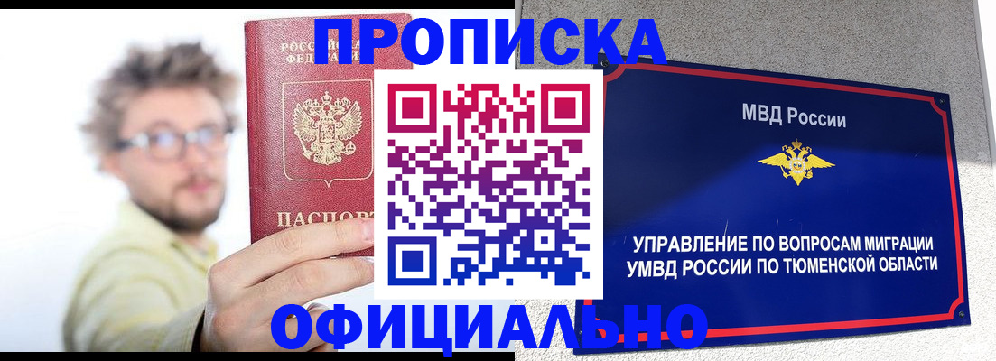 прописка поиск в Апатитах